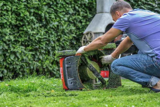 בשום מקרה לא יכול לכסח את הדשא עם מכשיר קהה. תמונה בשימוש תחת הרישיון הסטנדרטי © ofazende.ru