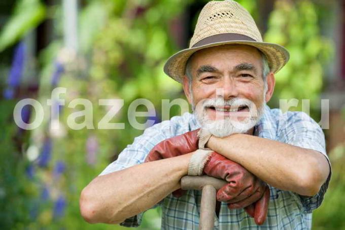 טיפול בגינה לוח נגד מזיקים