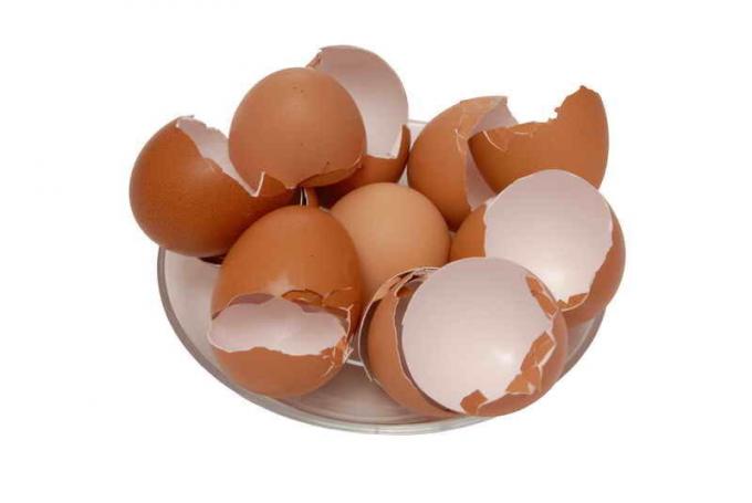 הפגז של הביצים. איור עבור כתבה משמש רישיון סטנדרטי © ofazende.ru