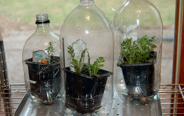 הצג: http://www.agfoundation.org/images/uploads/_660w/greenhouse_bottles.jpg