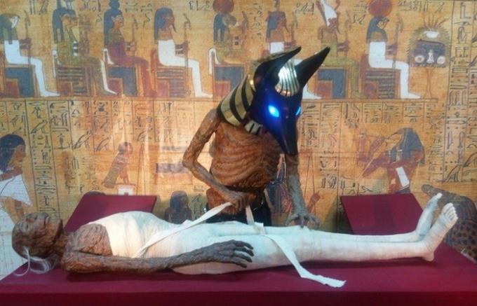  הסודות של מומיות מצריות.