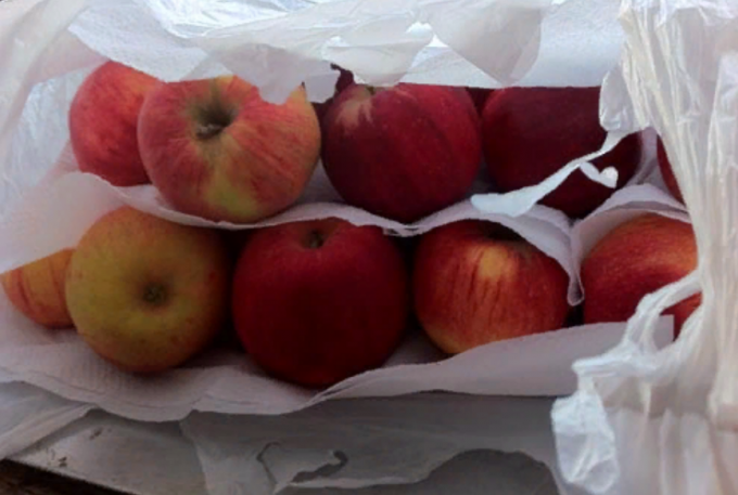 כיצד לשמור על תפוחים טריים לחורף בבית