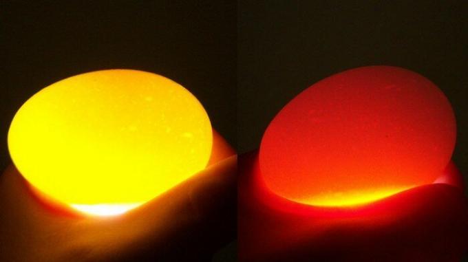 שמאל - לא ביצה מקושקשת, נכון - לבנה מעורבת בחלמון