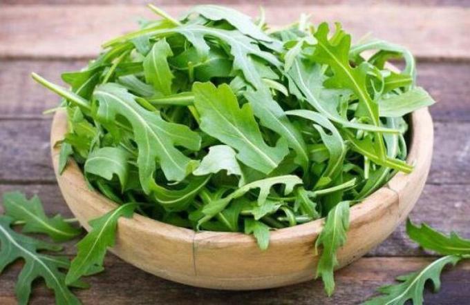 Rucola. מה הם היתרונות שלו ומדוע הוא כל כך פופולרי