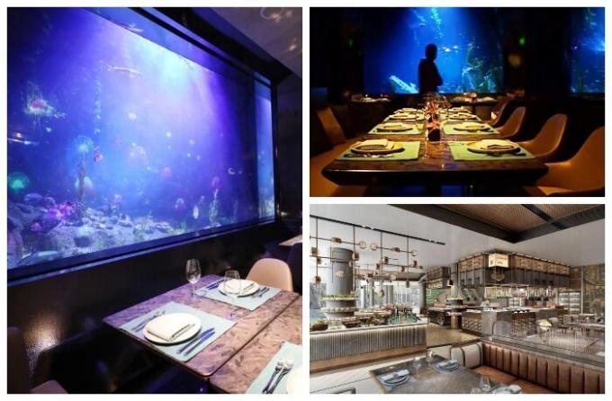 מר פישר מלון Songjiang אינטרקונטיננטל מסעדה מתחת למים.