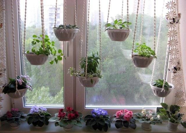קישוט חלונות מקורי עם צמחים