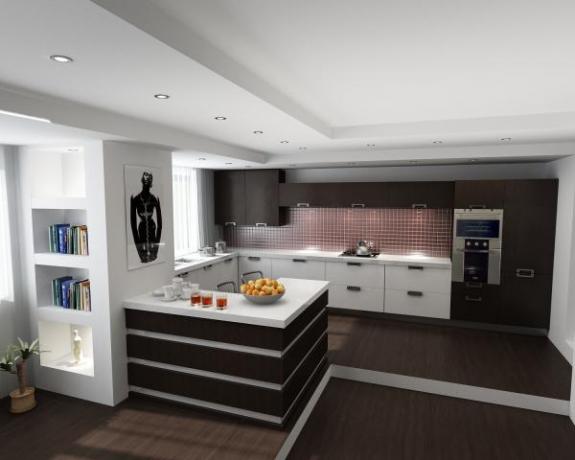 השימוש בסגנונות מודרניים נפוץ בעיצוב הפנים של המטבח והסלון.