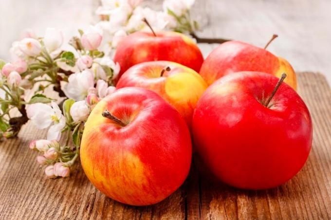 נטיעות וטיפול של עץ תפוח עמודים
